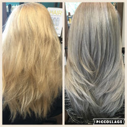 Shampoo for Grey hair