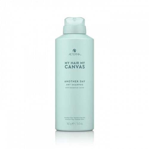 Alterna Canvas Another Day Dry Shampoo